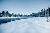 Flussufer am Bow River, Castle Junction, Banff Town, Bow Tal, Banff National Park, Alberta, Kanada, Nordamerika