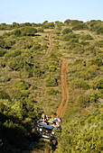 Wildbeobachtung, Gruppe von Menschen, im Auto, Gora Elephant Camp, Addo private Park, Porth Elizabeth, Südafrka