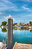 Hafen, Timmendorf-Niendorf, Lübecker Bucht, Ostsee, Schleswig-Holstein, Deutschland