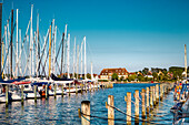 Yachthafen, Stadt Arnis, Schlei, Ostsee, Schleswig-Holstein, Deutschland