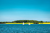 Sailing boats on Schlei fjord, Baltic coast, Schleswig-Holstein, Germany