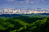 Zentral-Sao Paulo aus dem Regenwald des Serra da Cantareira State Park, Brasilien, Südamerika