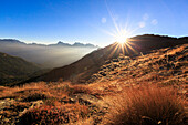 Sonnenstrahlen auf Almen mit Gipfel Scalino im Hintergrund, Val Torreggio, Val Malenco, Valtellina, Lombardei, Italien, Europa