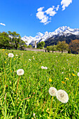 Green meadows frame the church of Soglio in spring, Maloja, Bregaglia Valley, Engadine, canton of Graubunden, Switzerland, Europe