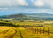 Landscape of the island seen from the way up to the Maunga Terevaka, Easter Island, Chile, South America