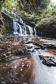 Purakaunui Falls Walk, Die Catlins, Südinsel, Neuseeland, Pazifik