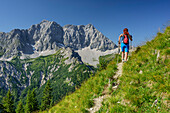 Woman hiking ascending towards Soiernspitze, Hochkarspitze and Woerner in background, Soiernspitze, Karwendel range, Upper Bavaria, Bavaria, Germany