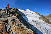 Woman hiking looking towards glacier at Wilder Freiger, Wilder Freiger, Stubai Alps, Tyrol, Austria