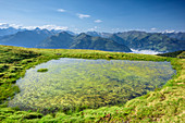 Kleiner See mit Blick auf Hohe Tauern, Pinzgauer Spaziergang, Kitzbüheler Alpen, Salzburg, Österreich