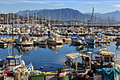 Alter Hafen mit Fischerbooten und Yachten, Blick auf ferne Berge, Ajaccio, Insel Korsika, Frankreich, Mittelmeer, Europa