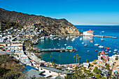 Blick über Avalon, Santa Catalina Island, Kalifornien, Vereinigte Staaten von Amerika, Nordamerika