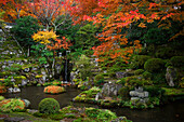 Japanese garden in autumn, Ohara valley, Kyoto, Japan, Asia