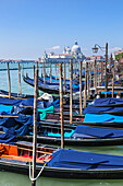 Gondeln im Bacino di San Marco (Markusdom), am Wasser, Venedig, UNESCO-Weltkulturerbe, Venetien, Italien, Europa festgemacht