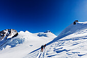 Ski tourers on Monte Rosa, border of Italy and Switzerland, Alps, Europe