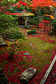 Japanischer Garten im Herbst, Daiho-in Tempel, Kyoto, Japan, Asien