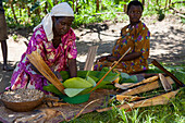 Eine Frau verpackt Erdnüsse in einem Bananenblatt, Uganda, Afrika