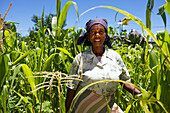 Ein empowerendes Porträt eines weiblichen Landwirts, Lesotho, Afrika