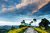 Top of the World Resort, Uganda, Afrika