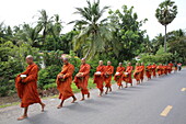 Buddhist monks on morning alms round in Western Cambodia, Indochina, Southeast Asia, Asia