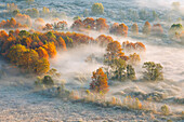 Die Nebel des Flusses Adda, Airuno, Park Adda Nord, Provinz Lecco, Brianza, Lombardei, Italien, Europa