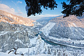 Transit des roten Zuges in der tiefen Rheinschlucht, Rheinschlucht (Ruinaulta), Flims, Imboden, Graubünden, Schweiz, Europa