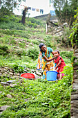 Morgendusche, Annapurna Region, Nepal, Asien