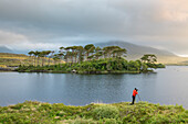 Photographer in front of Pine Island on Derryclare Lake, Connemara, Co, Galway, Connacht province, Ireland