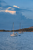 Segelboote während des Sonnenuntergangs (Ile de Porquerolles, Hyeres, Departement Toulon, Var, Region Provence-Alpes-Côte d'Azur, Frankreich, Europa)