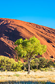 Uluru (Ayers-Felsen), Uluru-Kata Tjuta Nationalpark, Nordterritorium, Zentralaustralien, Australien