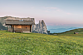 Alpe di Siusi/Seiser Alm, Dolomites, South Tyrol, Italy, The morning on the Alpe di Siusi, In the background the peaks of Sciliar/Schlern