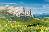 Alpe di Siusi/Seiser Alm, Dolomites, South Tyrol, Italy