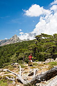 Hiker in green woods surrounded by rocky peaks Col de Bavella (Pass of Bavella) Solenzara Southern Corsica France Europe