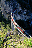 Elevated view of Bernina Express train on Landwasser Viadukt, Filisur, Albula Region, canton of Graubünden, Switzerland, Europe
