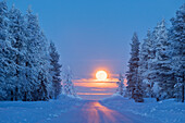 Lunar Sonnenaufgang auf den verschneiten Wald, Kiruna, Norrbotten County, Lappland, Schweden