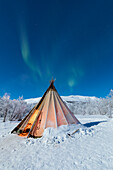 Isolated Sami tent in the snow under Northern Lights, Abisko, Kiruna Municipality, Norrbotten County, Lapland, Sweden