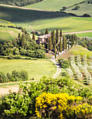 The famous Podere Belvedere under the sunlight, with green hills, Val d'Orcia, Province of Siena, Tuscany, Italy