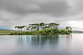 Pine Island auf Derryclare Lake. Connemara, Co. Galway, Connacht Provinz, Irland.