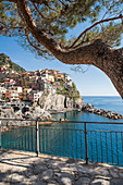 Manarola, Cinque Terre ,La Spezia province - Liguria, Italy