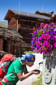 Ein männlicher Wanderer trinkt Wasser aus einem blumengeschmückten Brunnen in einem Bergdorf im Val d'Anniviers in den Schweizer Alpen. Die Sonne scheint hell, die Temperaturen sind hoch. Dies ist auf halbem Weg die Haute Route, eine klassische Wanderung 