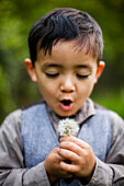 A 4 year old Japanese American boy wears a vest and blows dandelion seeds in Myre Island State Park, Minnesota.