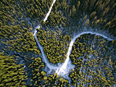 An aerial view of a snowy road winding through an evergreen forest