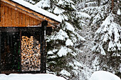 Winterlandschaft Szenen in der Nähe von Morzine, Frankreich, Teil des Portes du Soleil Skigebiet entlang der Grenze Frankreich - Schweiz.
