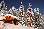 Winterlandschaft Szenen in der Nähe von Morzine, Frankreich, Teil des Skigebiets Portes du Soleil in den Alpen.