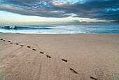 Abdrücke im Sand am Pupukea Strand, auf dem Nordufer von Oahu, Hawaii.