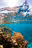 Split-level view of sky above and reef with coral underwater, West End, West Bay, Roatan, Honduras