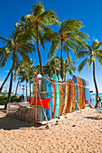 Surfbrett-Mieten am Waikiki Strand in Honolulu