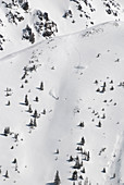 Ein Snowboarder, der einen frischen Puder-Lauf an der Timberline im San Juan-Gebirgszug absteigt