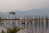 A fisherman stands on a narrow boat among skinny poles in a smoky lake with mountains in the background. Kerinci Valley, Sumatra, indonesia