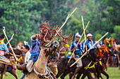 Gruppe der Männer, die Pferde reiten und im Pasola-Festival, Sumba-Insel, Indonesien konkurrieren