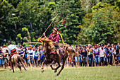 Männer auf Pferden im Pasola Festival, Sumba, Indonesien